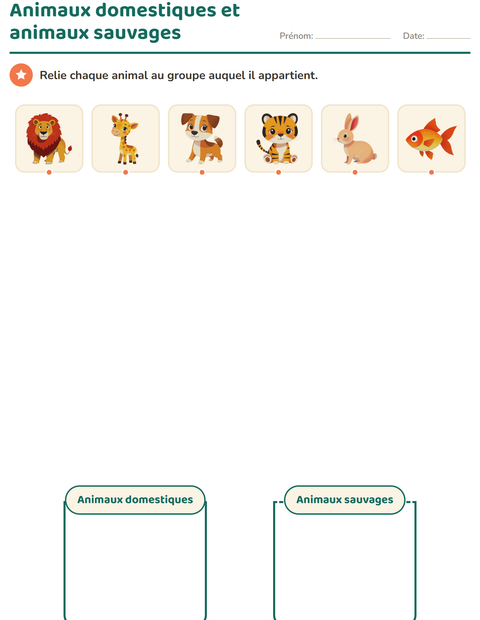 Aperçu de la fiche Tri en sciences pour École maternelle (grande section, 5-7 ans)