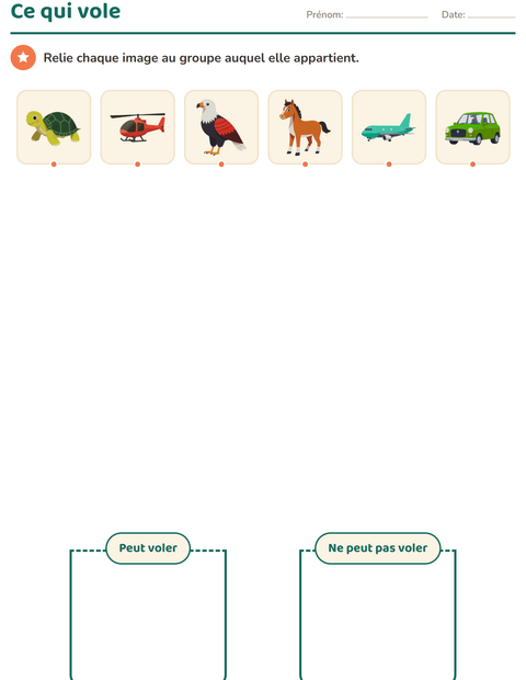 Aperçu de la fiche Tri en sciences pour École maternelle (grande section, 5-7 ans)