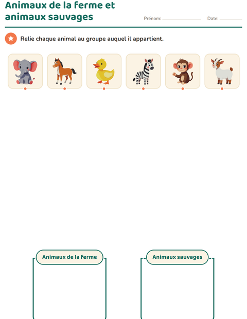 Aperçu de la fiche Tri en sciences pour École maternelle (grande section, 5-7 ans)