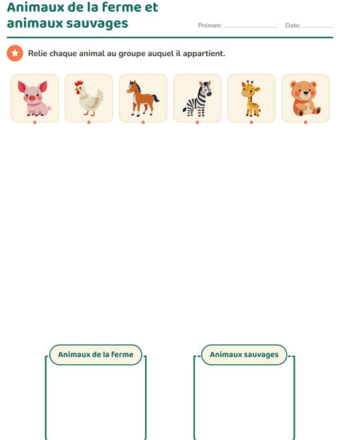 Aperçu de la fiche Tri en sciences pour École maternelle (grande section, 5-7 ans)