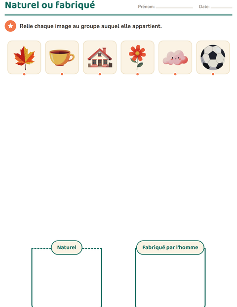 Aperçu de la fiche Tri en sciences pour École maternelle (grande section, 5-7 ans)