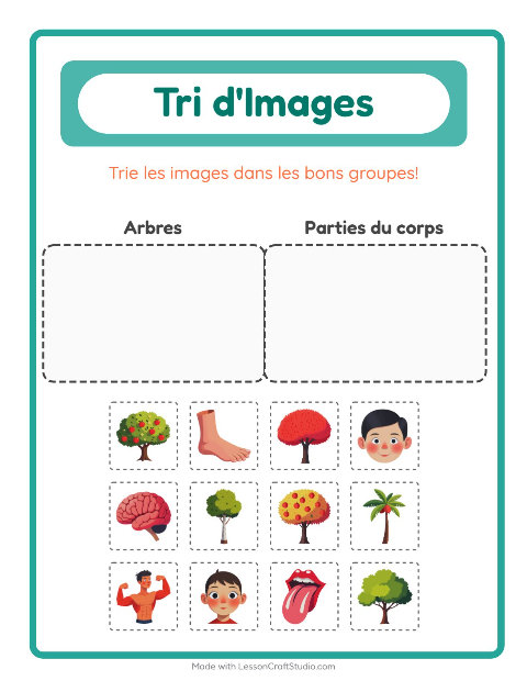 Aperçu de la fiche Trier Les Images pour École maternelle (grande section, 5-7 ans)