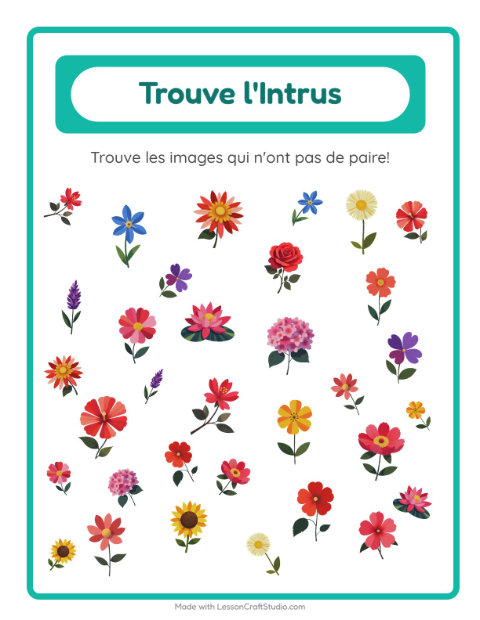 Aperçu de la fiche Trouve Les Objets avec Fleurs pour École maternelle (grande section, 5-7 ans)