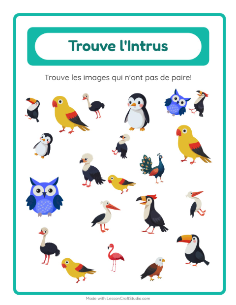 Aperçu de la fiche Trouve Les Objets avec Oiseaux pour École maternelle (grande section, 5-7 ans)