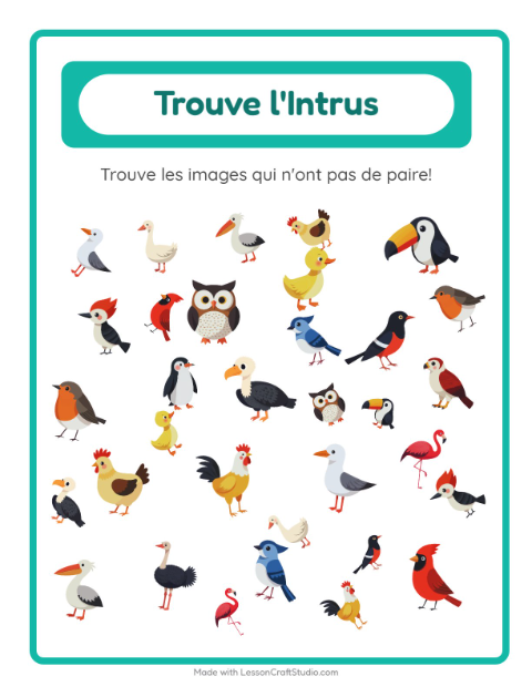 Aperçu de la fiche Trouve Les Objets avec Oiseaux 2 pour École maternelle (grande section, 5-7 ans)