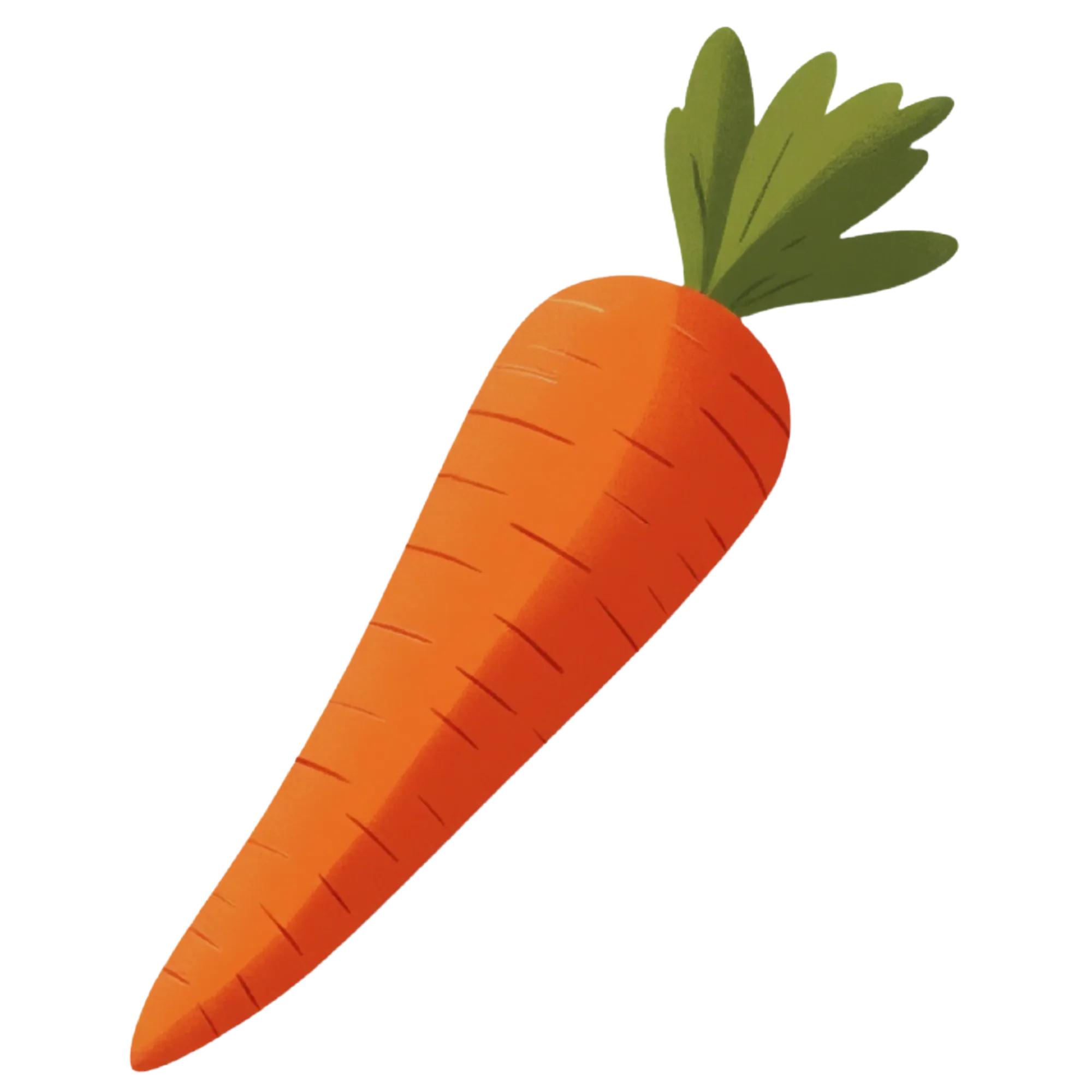 Wortel — thematische educatieve afbeelding