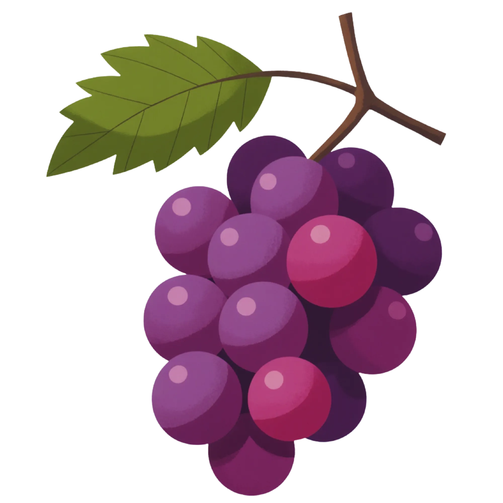 Druiven — thema-afbeelding voor educatieve werkbladen