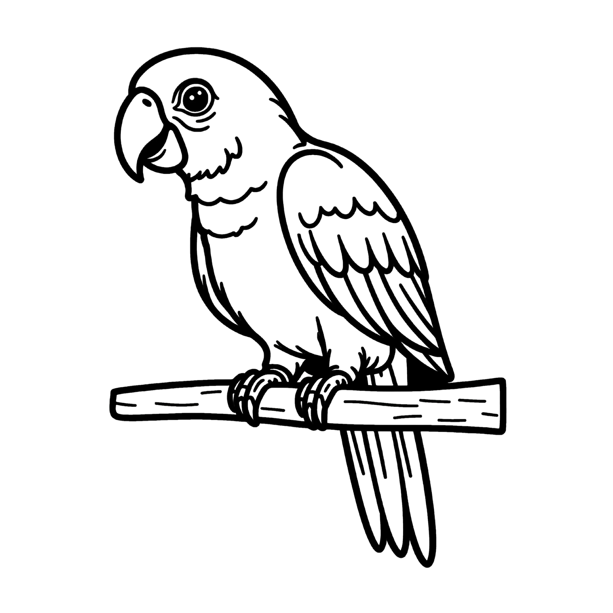 Papegaai — thematische educatieve afbeelding