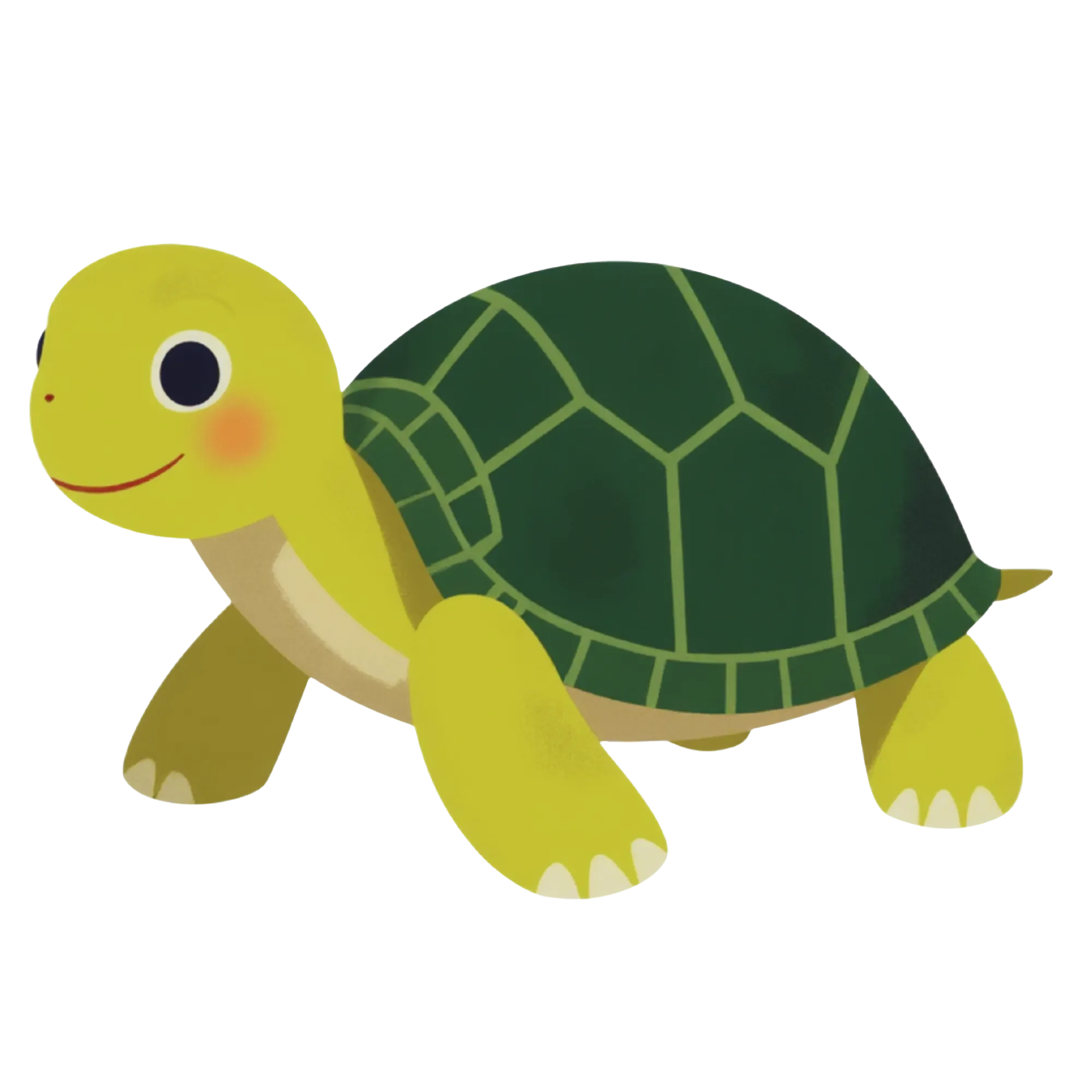 Turtle -- themed educational image