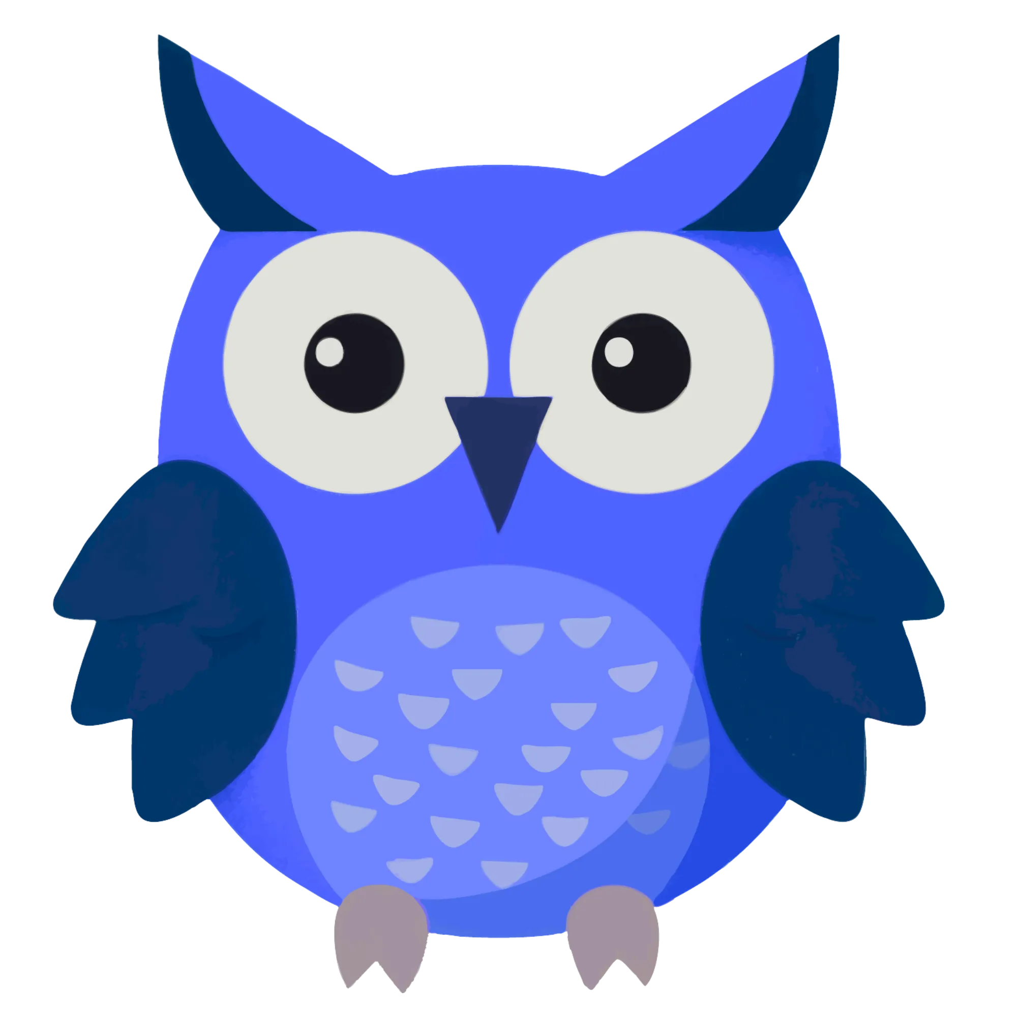 Owl — themed educational image