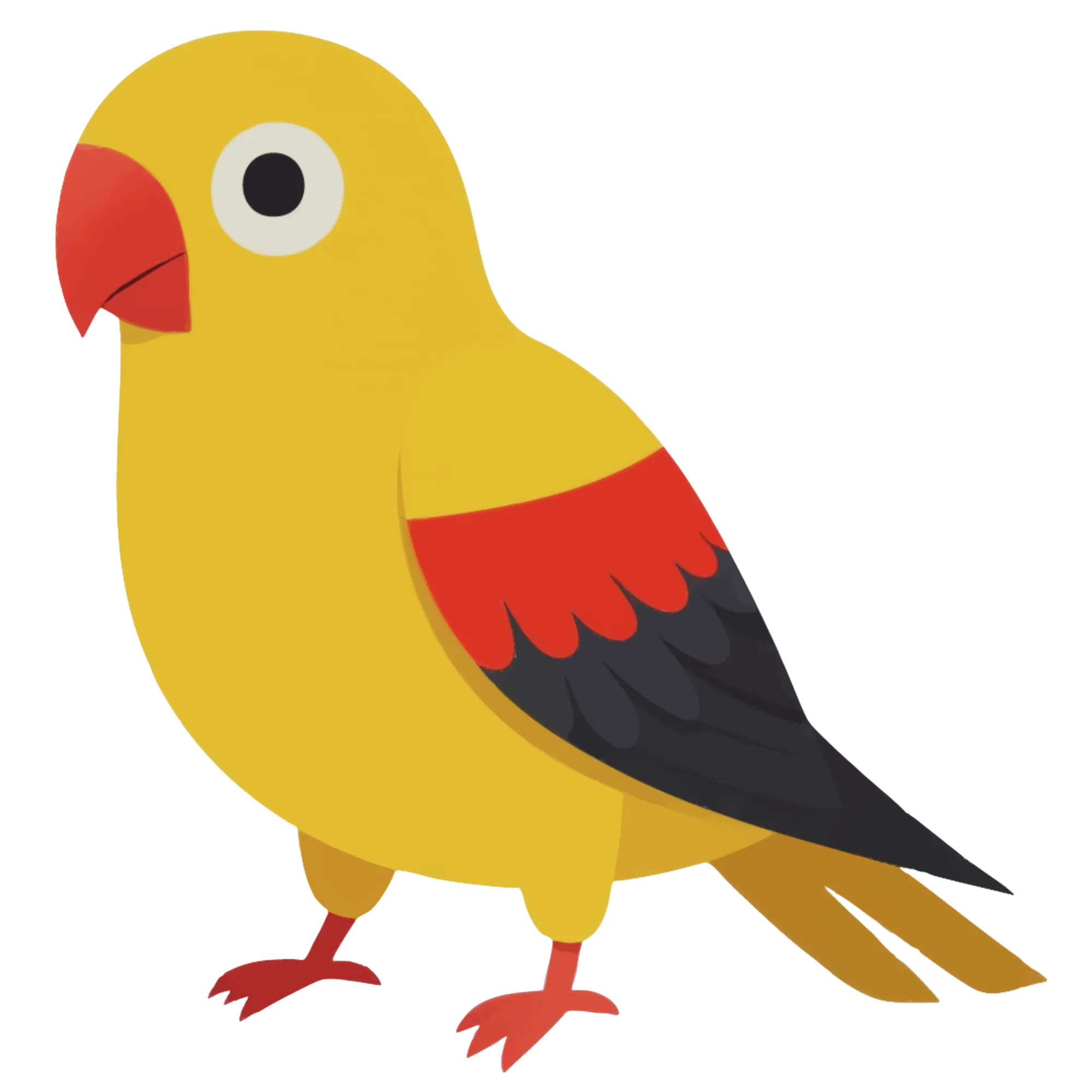 Papegaai — thematische educatieve afbeelding