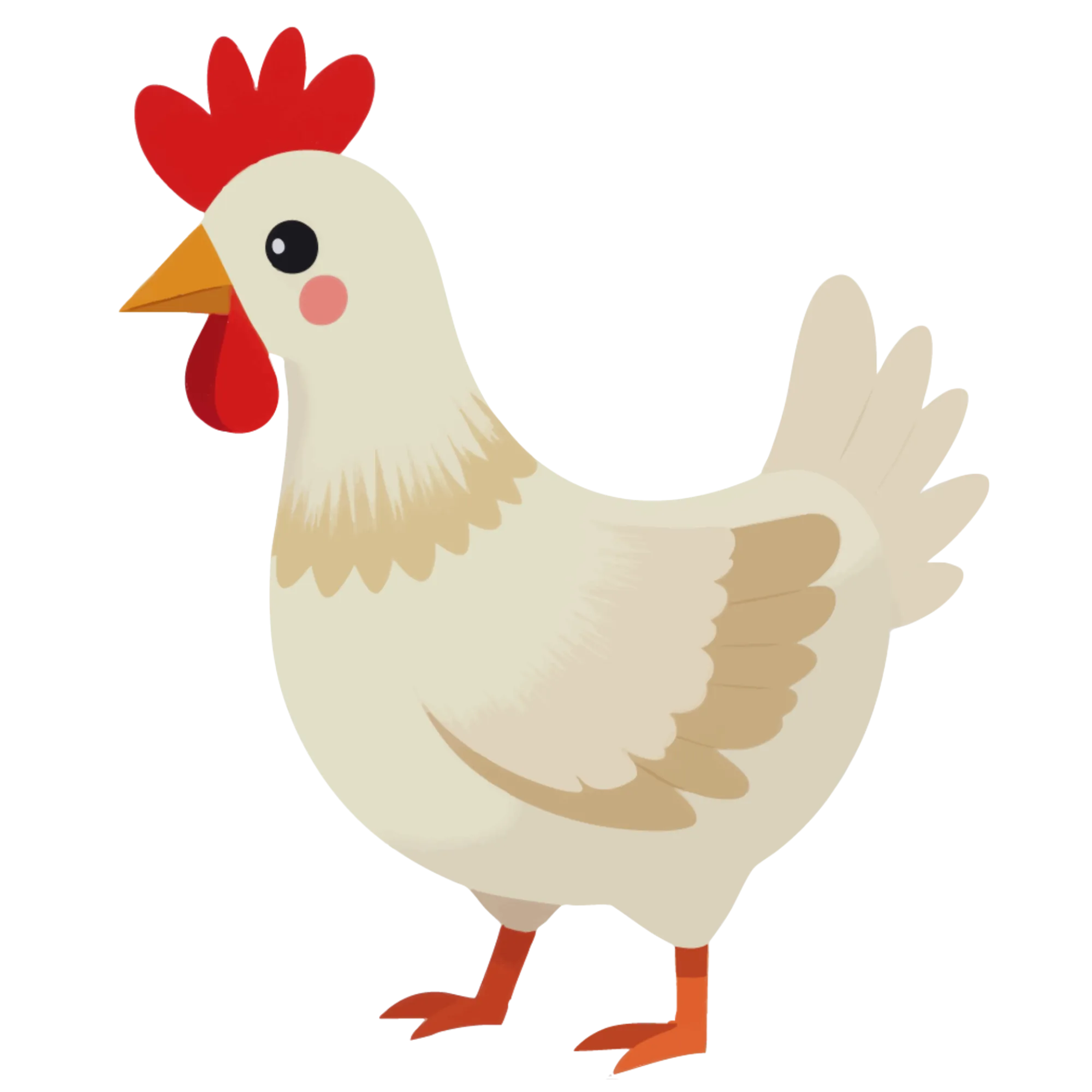 Chicken — themed educational image