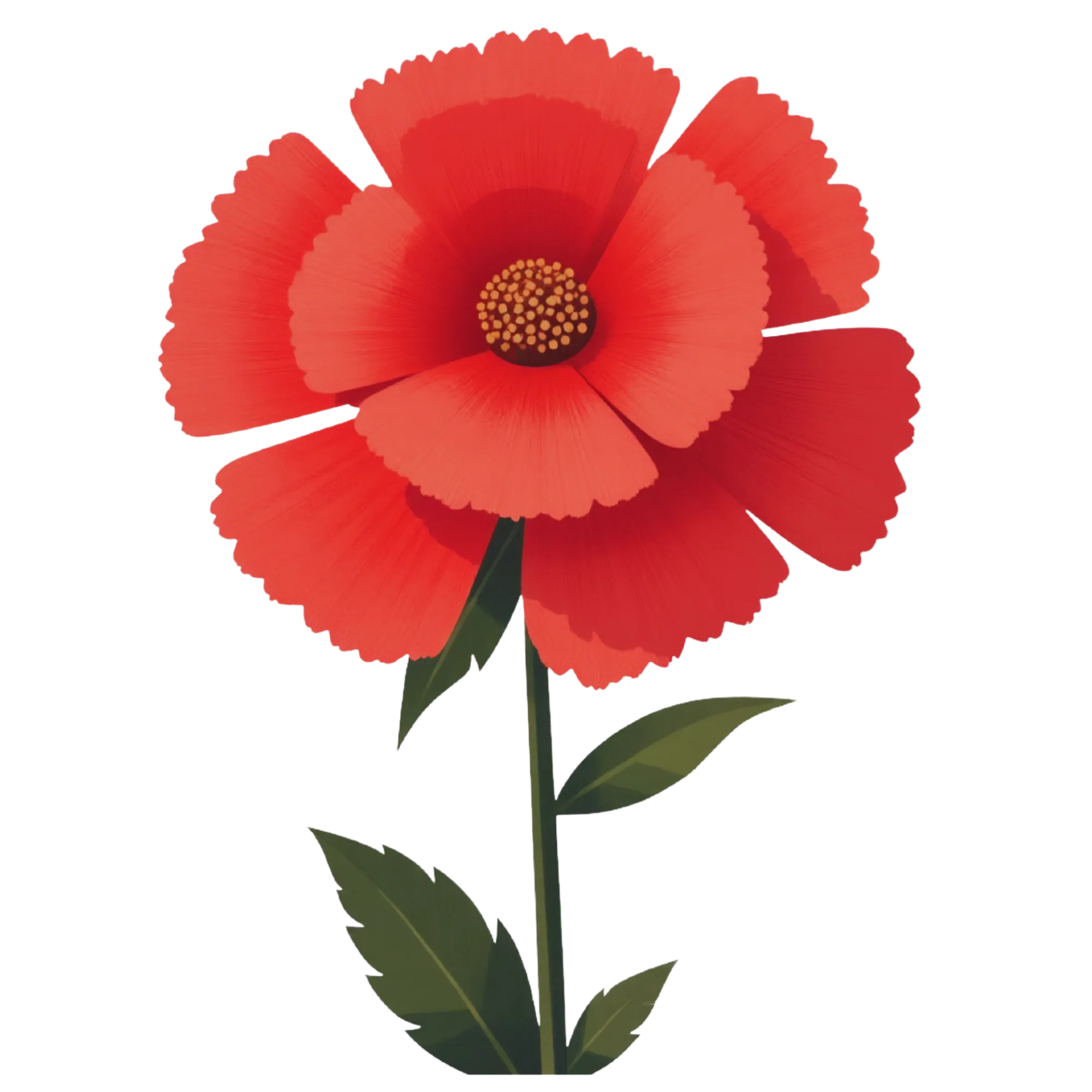 Carnation — themed educational image