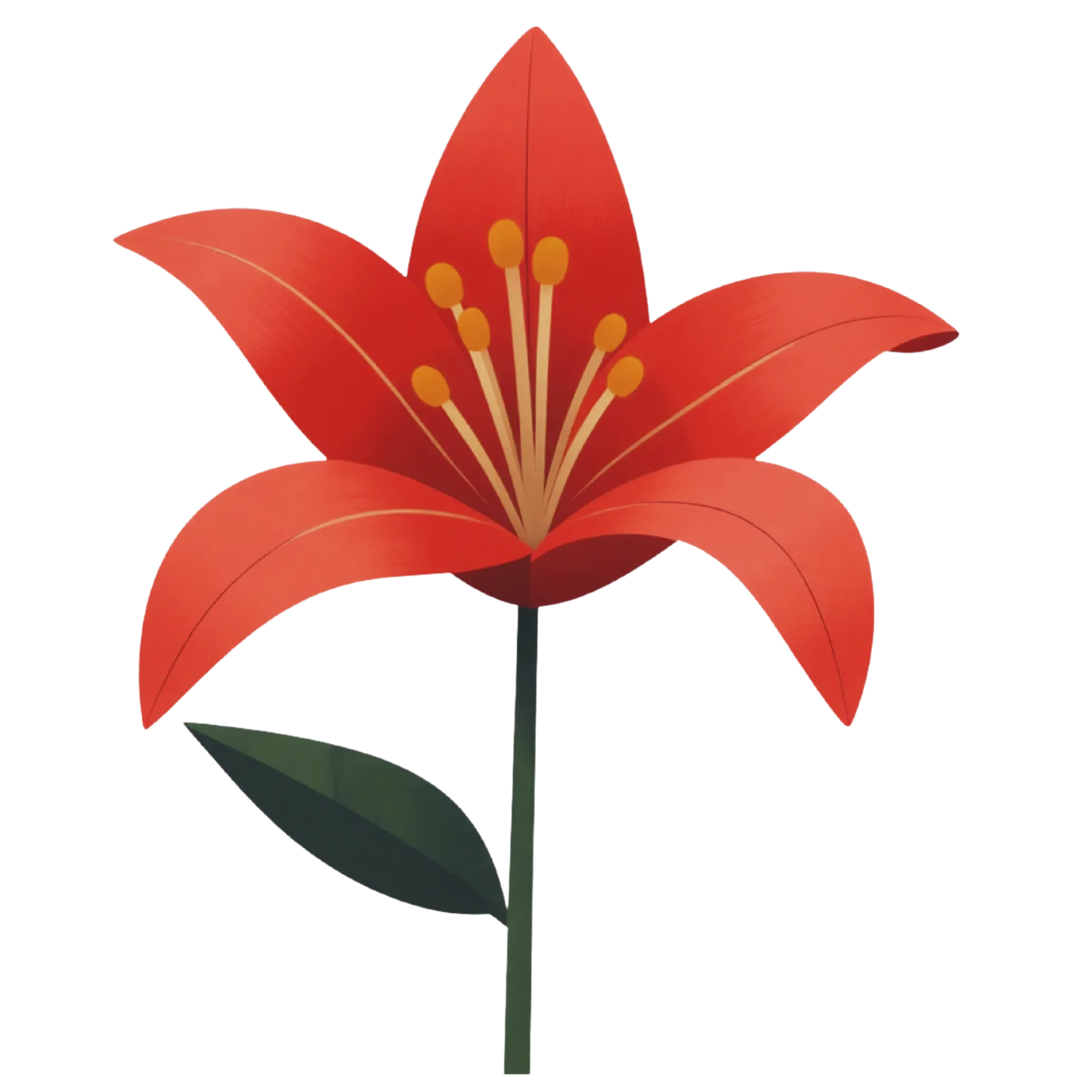 Lelie — thematische educatieve afbeelding