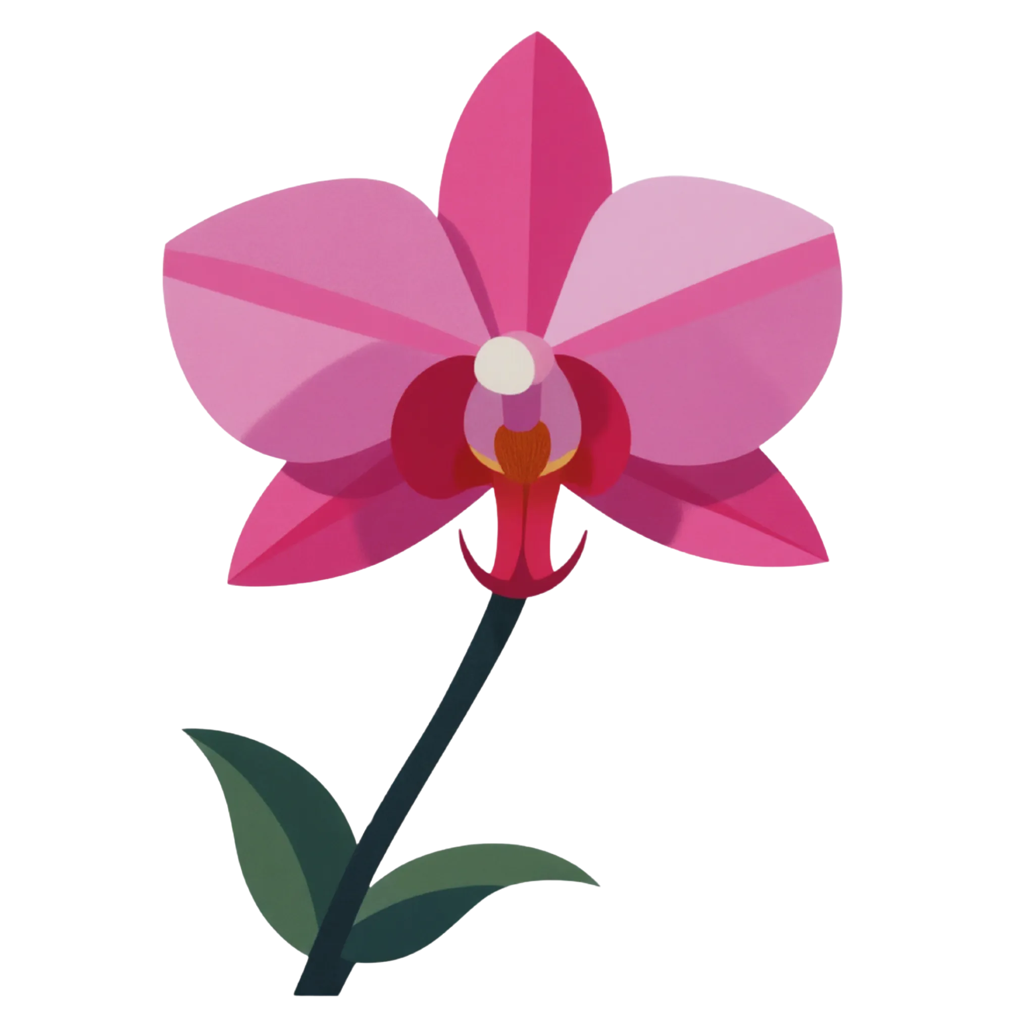 Orchidee — thematische afbeelding voor social media posts