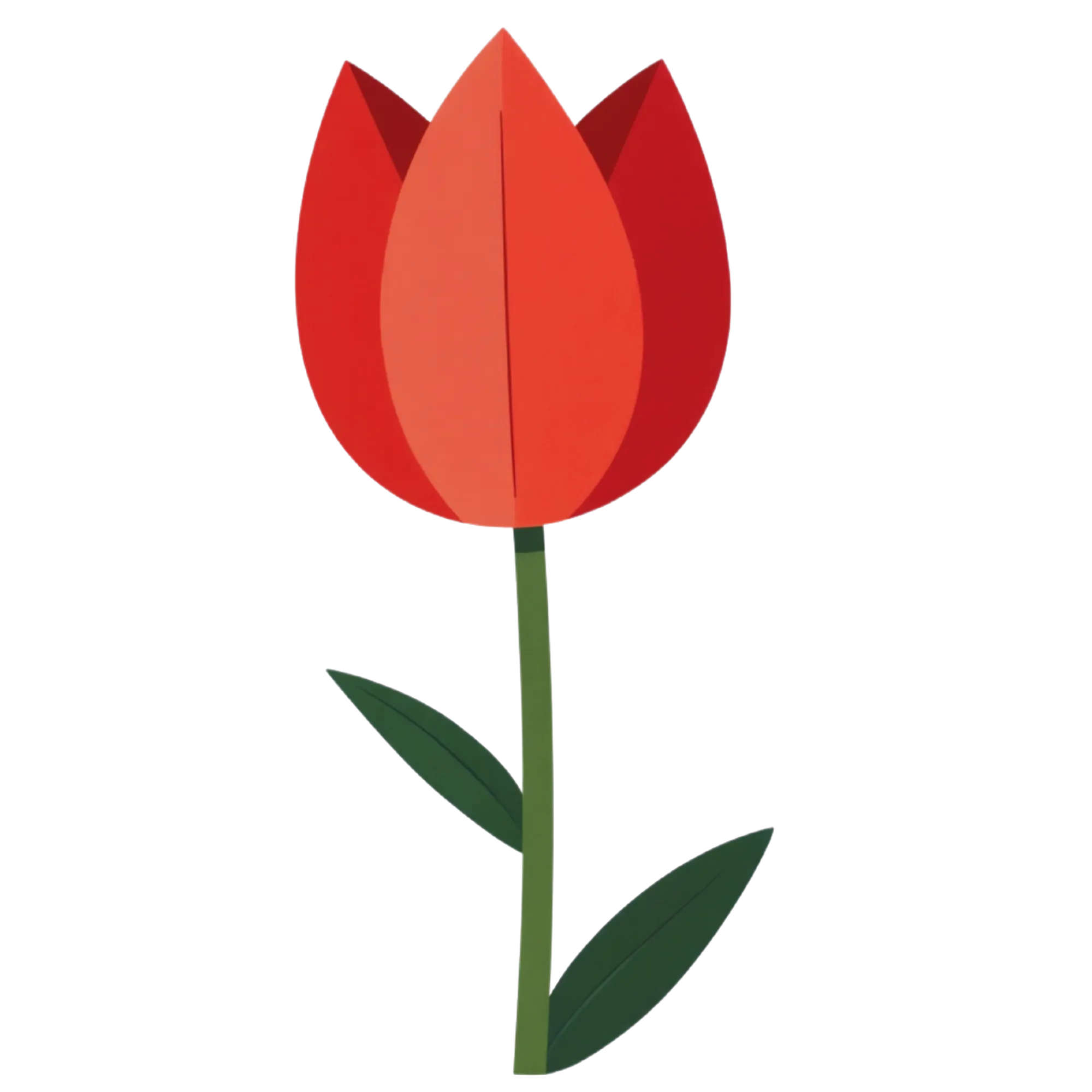 Tulp — thematische educatieve afbeelding