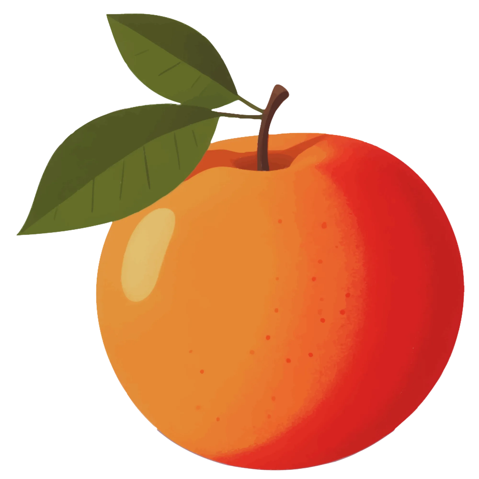 Apricot — themed educational image