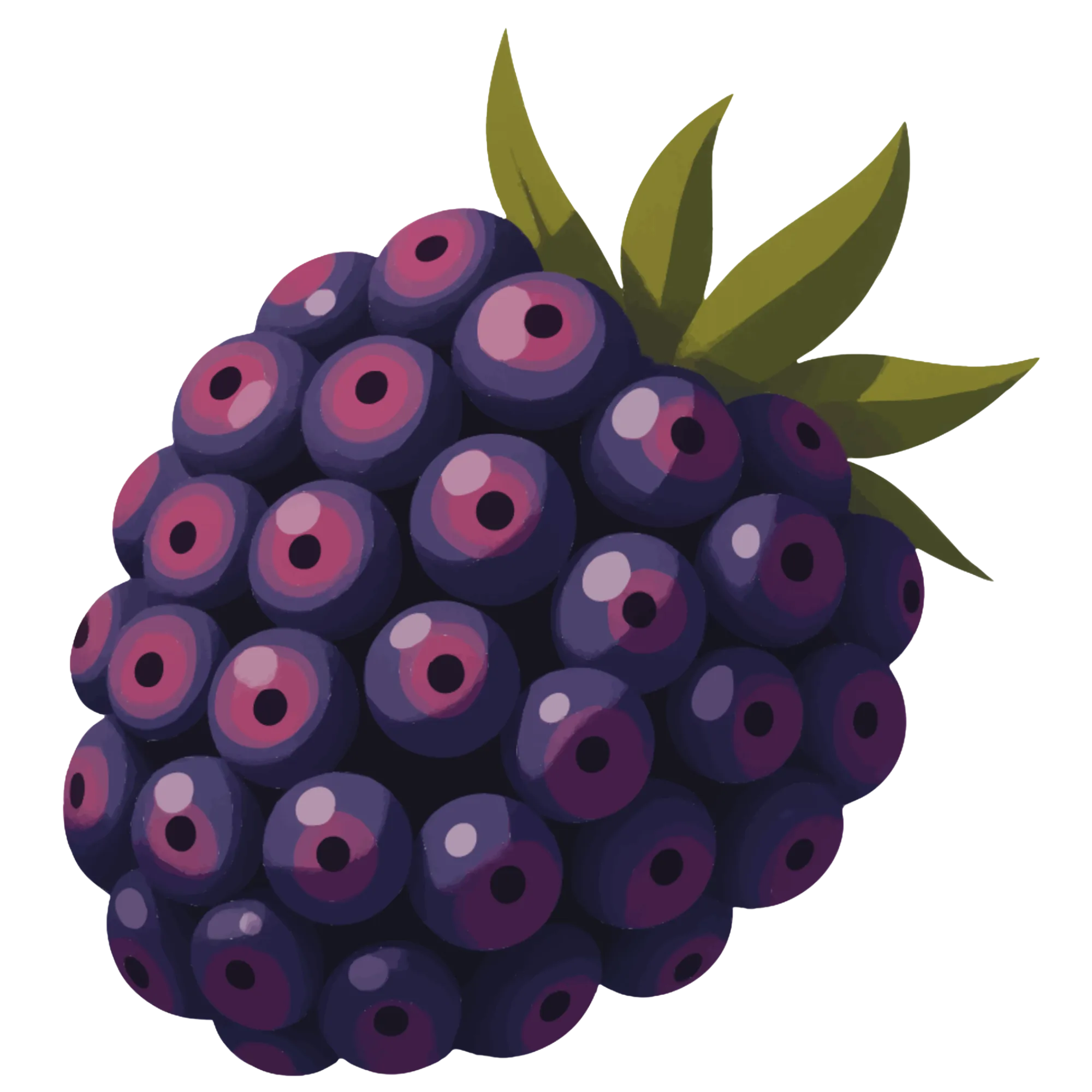 Blackberry — themed educational image