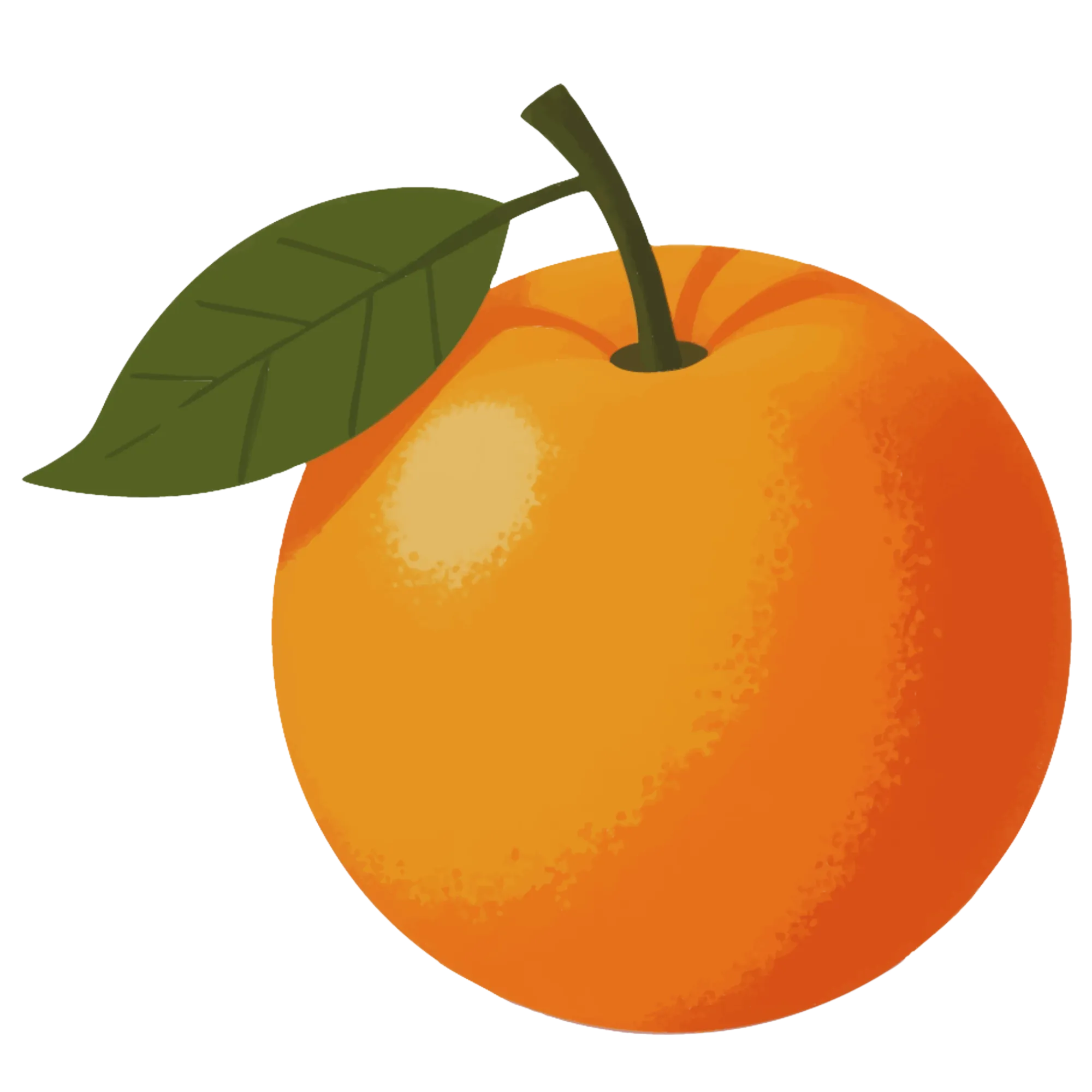 Cheese -- themed educational image