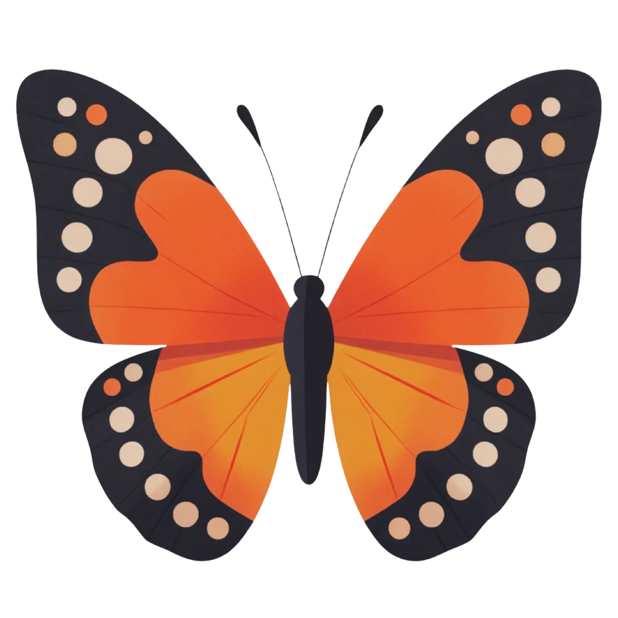 Butterfly — themed educational image