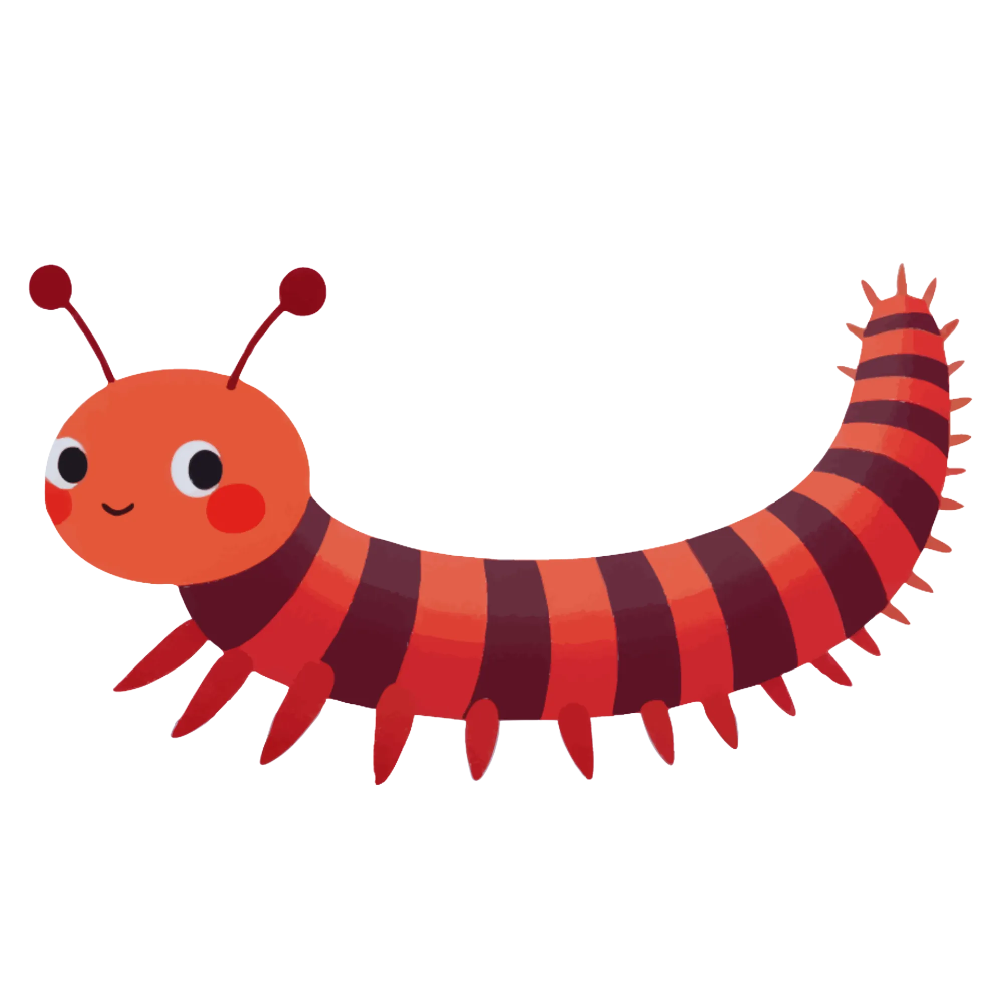 Centipede — themed educational image