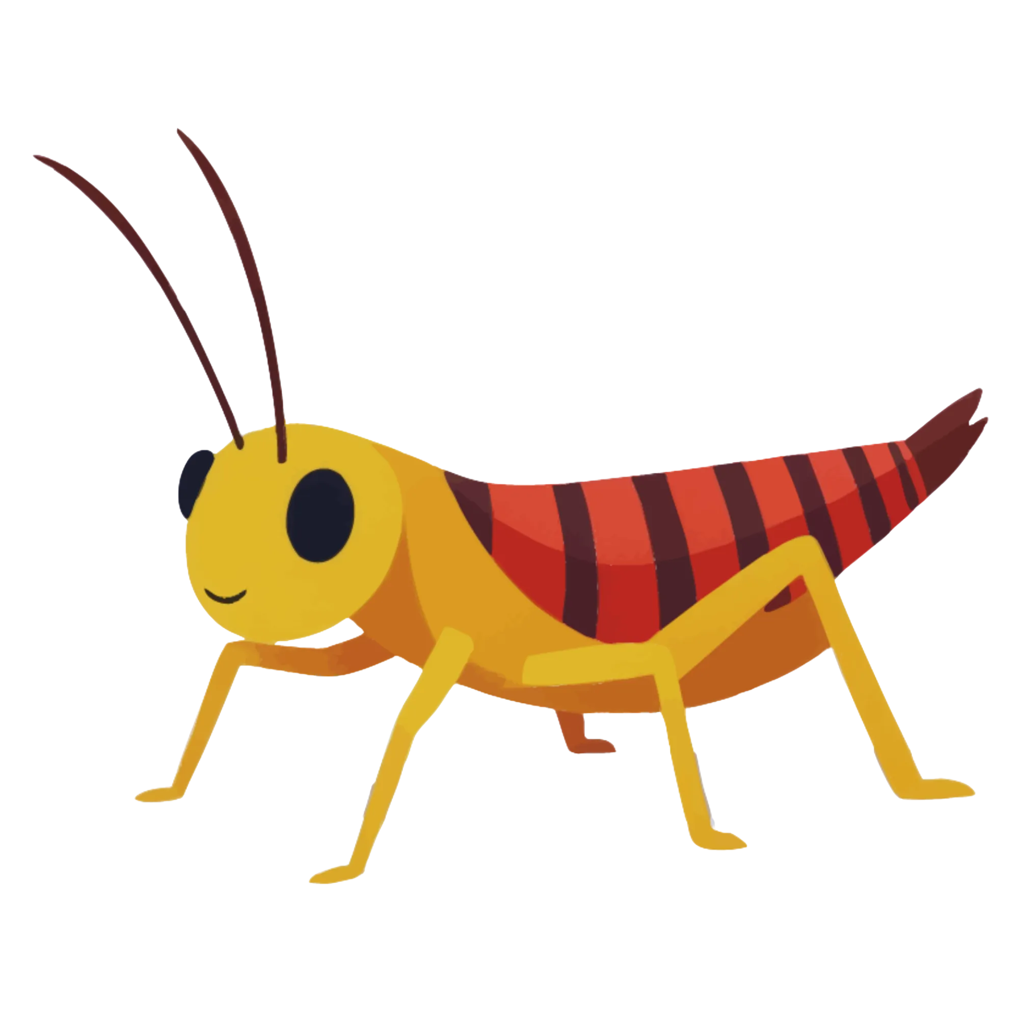 Cricket — themed educational image