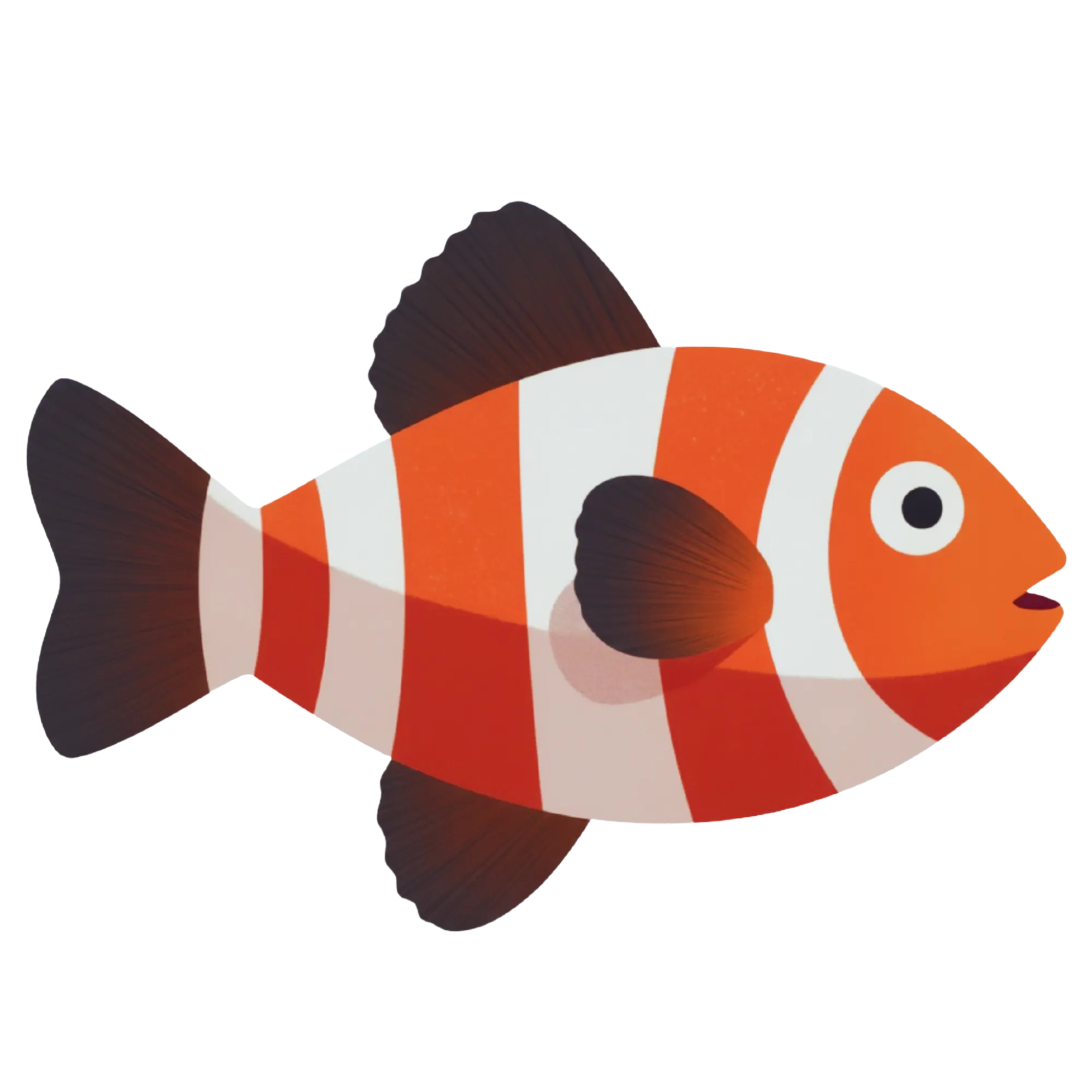 Clownfish — themed educational image