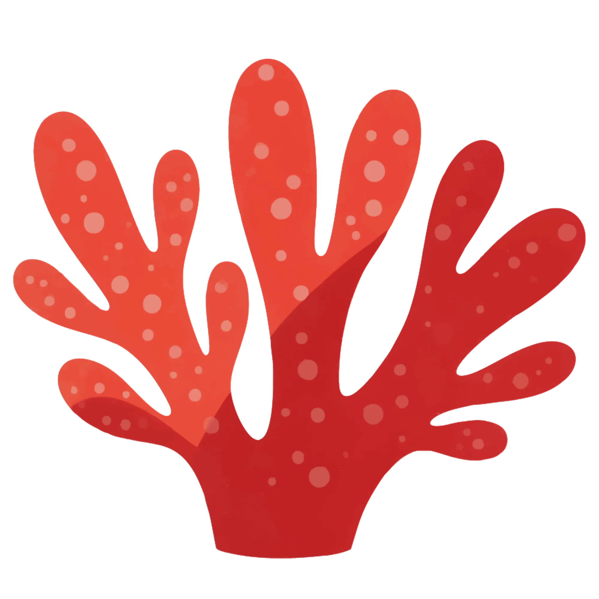 Coral — themed educational image
