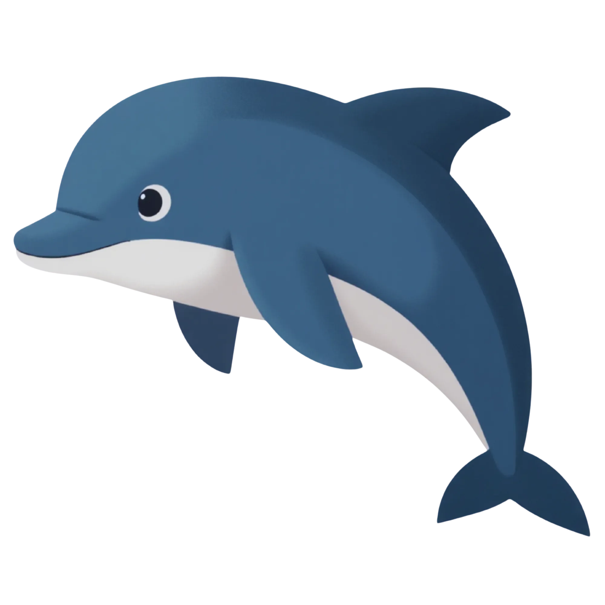 Dolphin — themed educational image