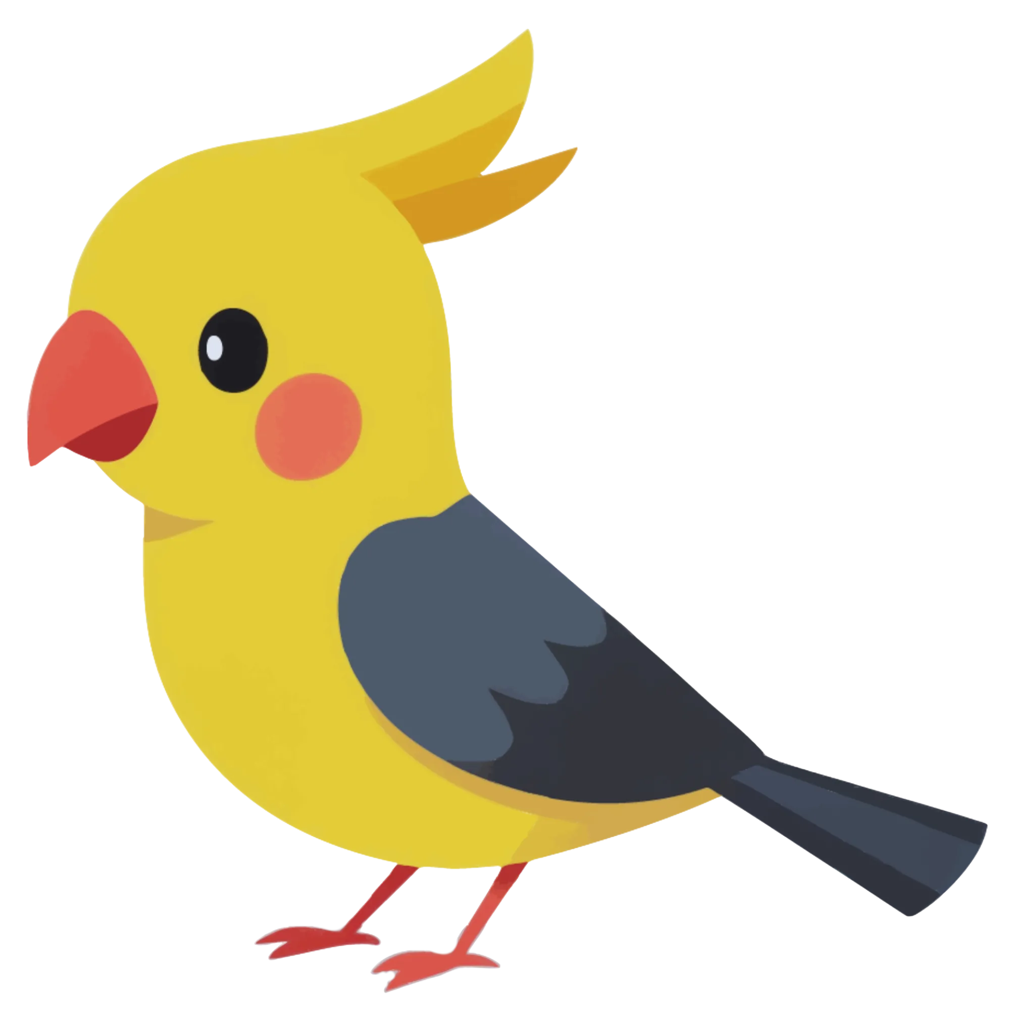 Cockatiel — themed educational image