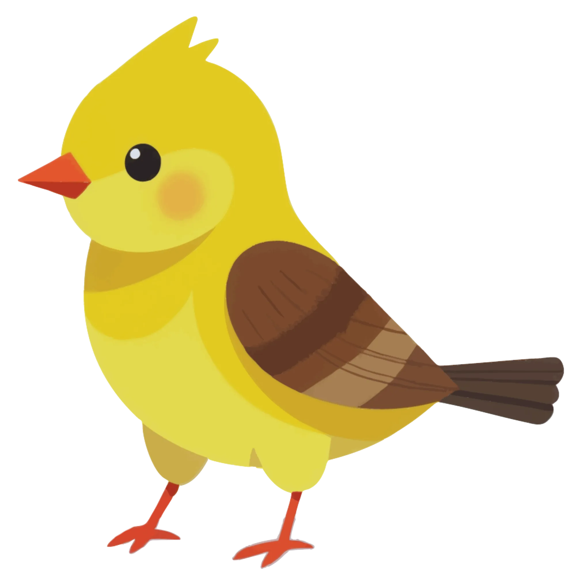 Finch — themed educational image