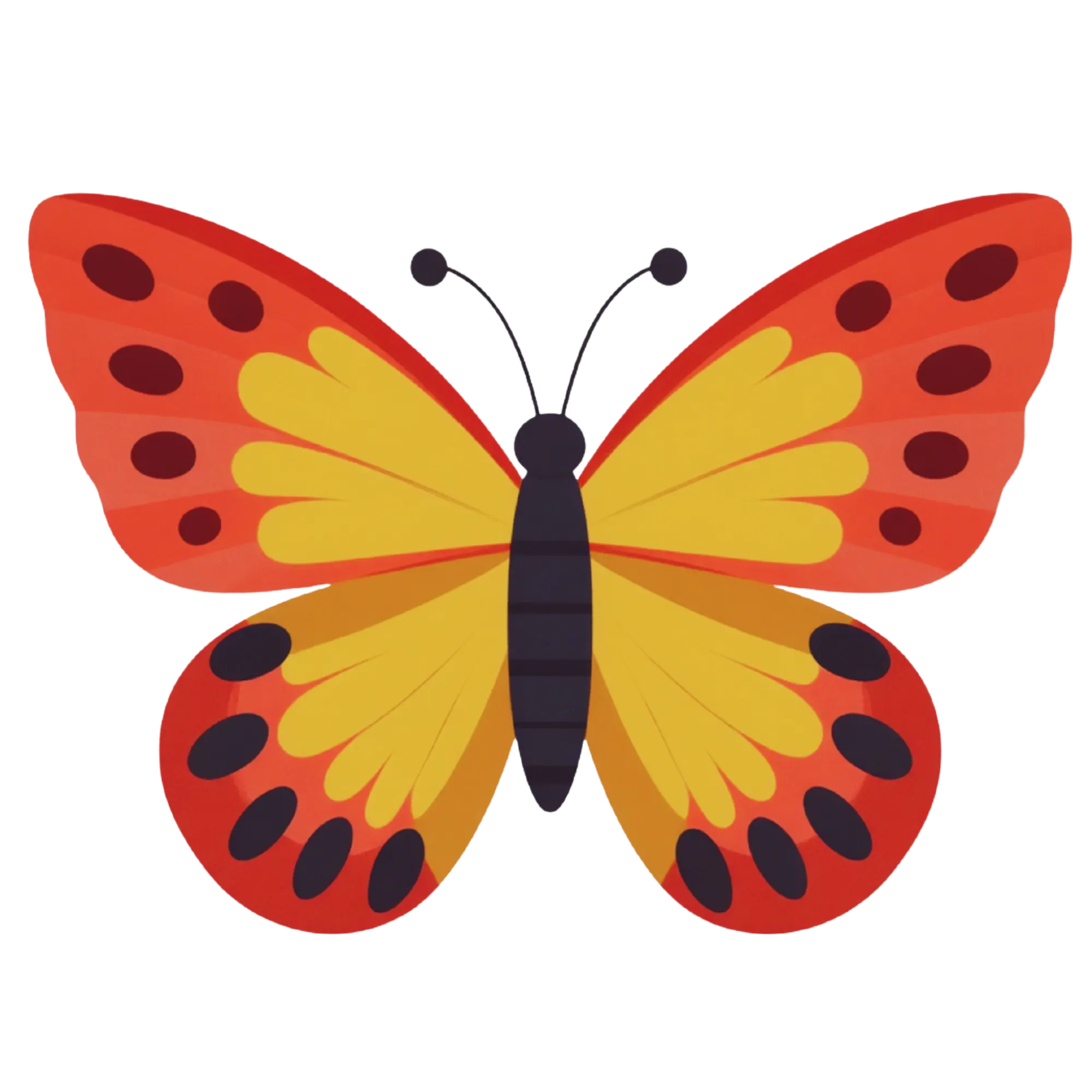 Butterfly — themed educational image