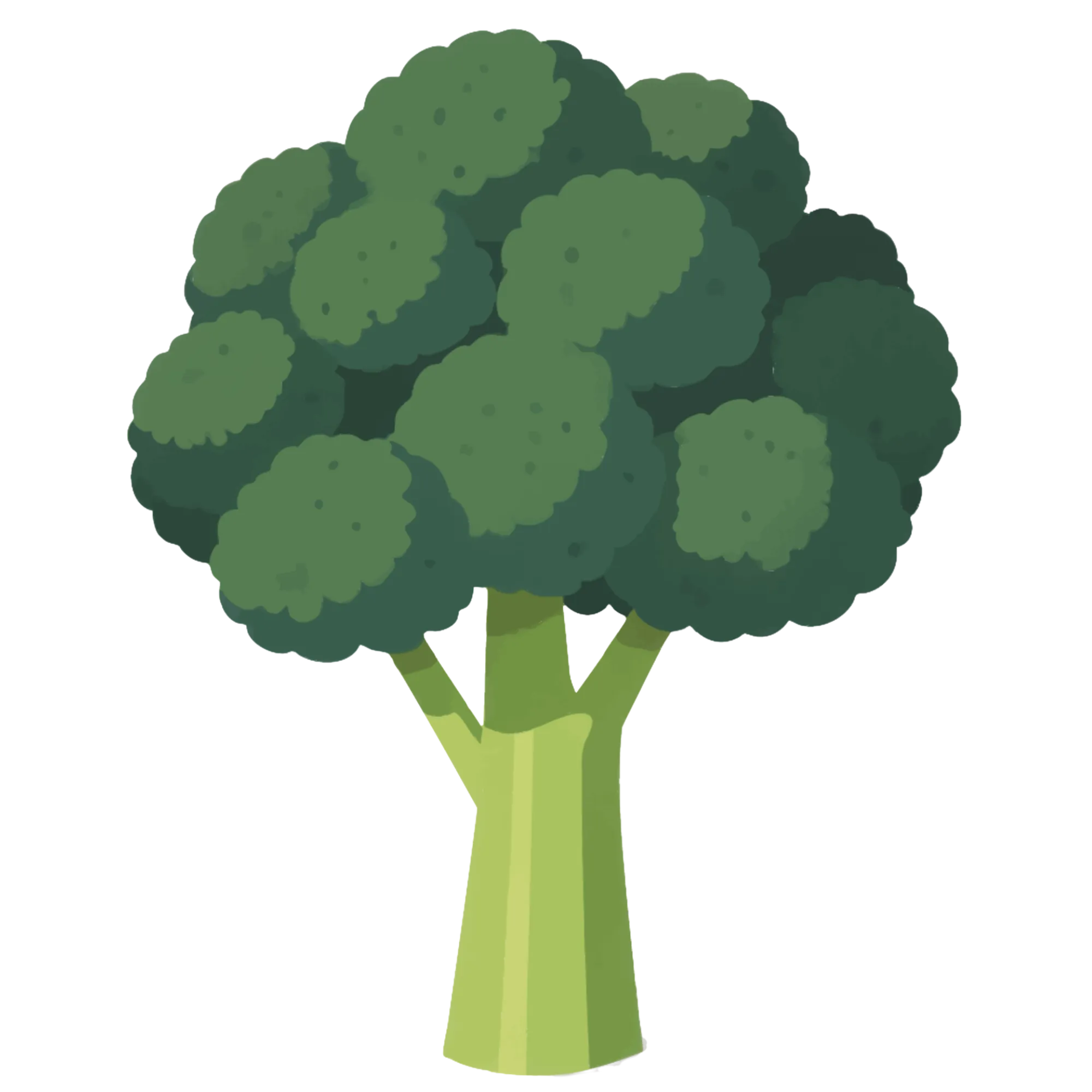 Broccoli — themed educational image