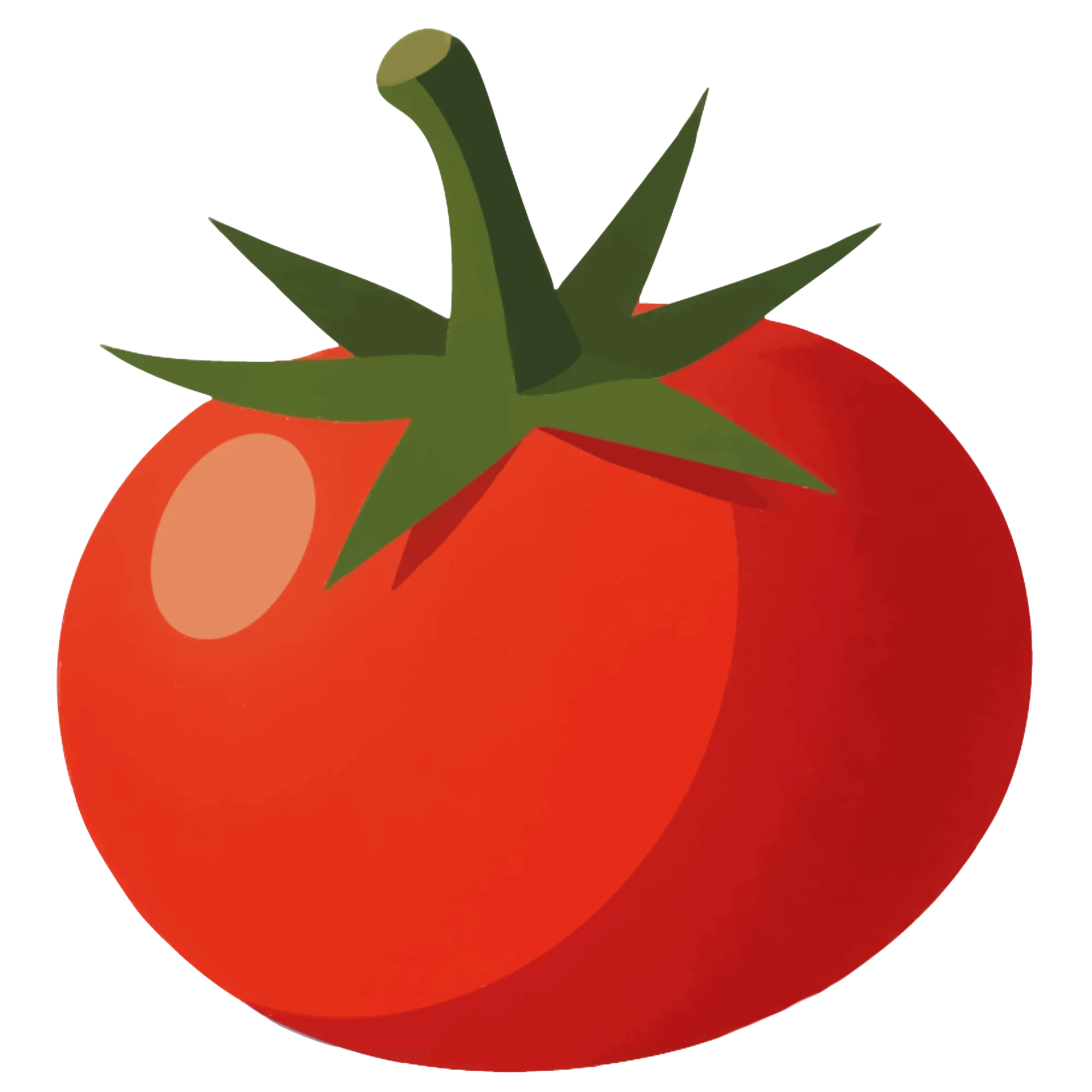 Tomaat — educatieve thema-afbeelding
