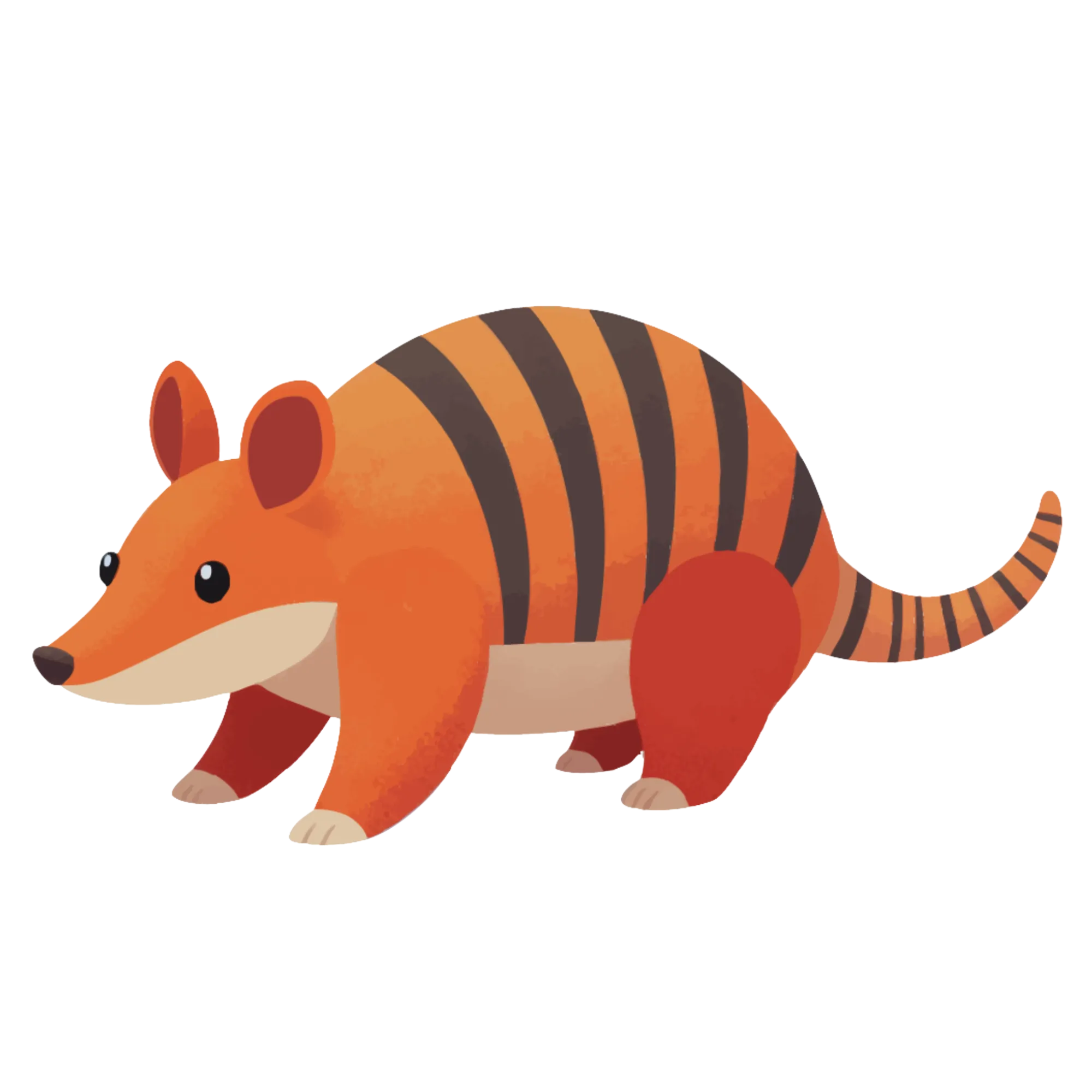 Armadillo — themed educational image