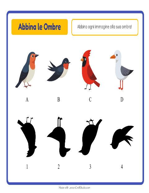 Abbina le ombre – Uccelli 2