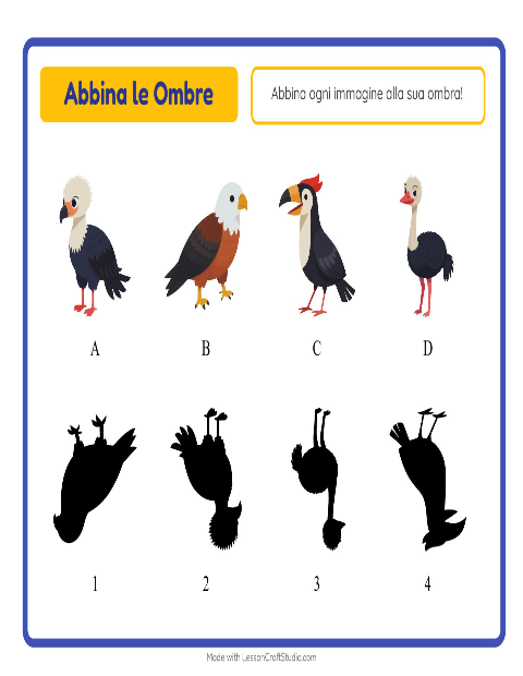 Anteprima della scheda di Abbina Le Ombre con Uccelli per Scuola dell'infanzia (5-7 anni)