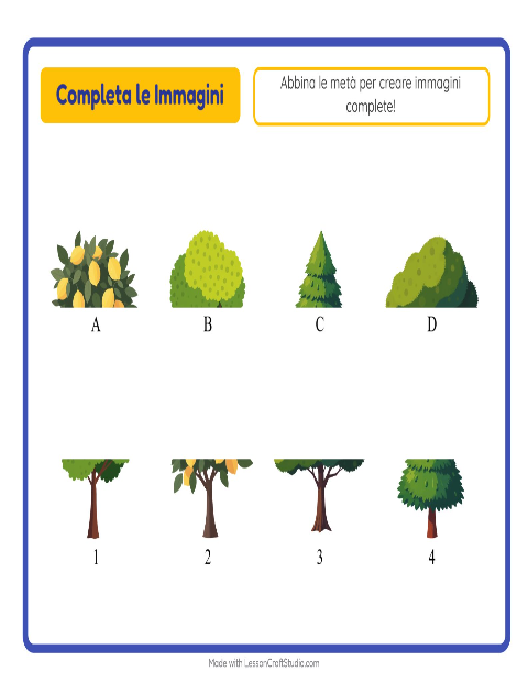 Anteprima della scheda di Abbina Le Ombre con Alberi per Scuola dell'infanzia (5-7 anni)