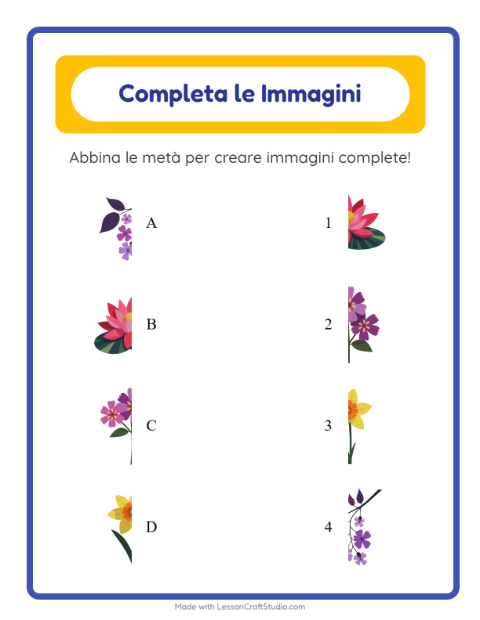 Anteprima della scheda di Abbina Le Ombre con Fiori per Scuola dell'infanzia (5-7 anni)