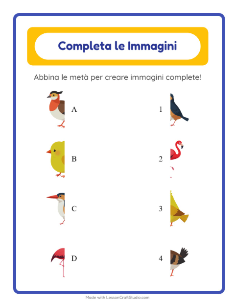 Anteprima della scheda di Abbina Le Ombre con Uccelli 2 per Scuola dell'infanzia (5-7 anni)
