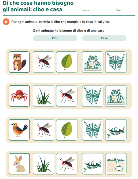 Di che cosa hanno bisogno gli animali: cibo e casa