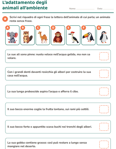 L'adattamento degli animali all'ambiente