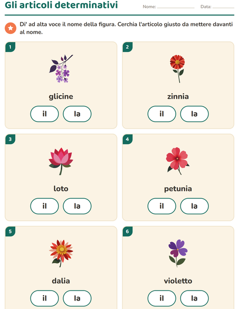 Anteprima della scheda di Articoli determinativi con Fiori per Scuola dell'infanzia (5-7 anni)