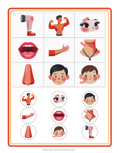 Anteprima della scheda di Bingo con Parti del corpo per Scuola dell'infanzia (5-7 anni)