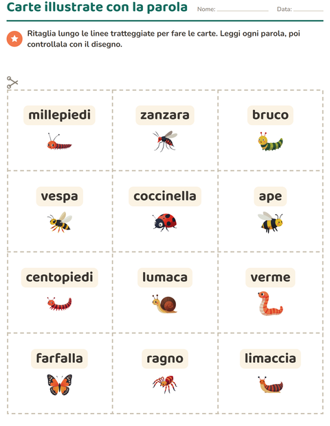 Anteprima della scheda di Carte illustrate con la parola con Insetti e scarafaggi per Scuola dell'infanzia (5-7 anni)