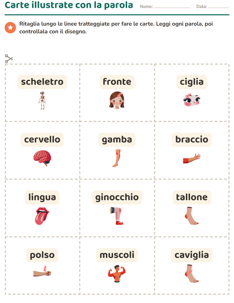 Anteprima della scheda di Carte illustrate con la parola con Parti del corpo per Scuola dell'infanzia (5-7 anni)