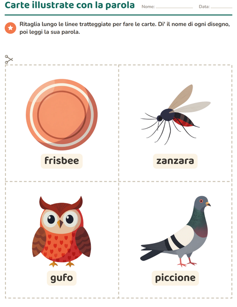 Anteprima della scheda di Carte illustrate con la parola con Cose che volano per Scuola dell'infanzia (5-7 anni)