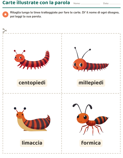 Anteprima della scheda di Carte illustrate con la parola con Insetti e scarafaggi per Scuola dell'infanzia (5-7 anni)
