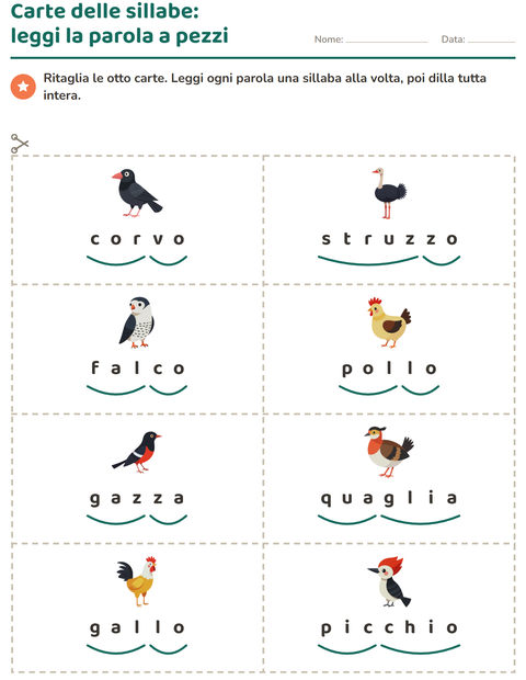 Anteprima della scheda di Carte illustrate con la parola con Uccelli 2 per Scuola primaria classe prima