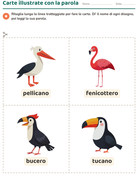 Anteprima della scheda di Carte illustrate con la parola con Uccelli per Scuola dell'infanzia (5-7 anni)